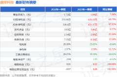 盛洋科技（603703）2025年一季报简析：营收净利润